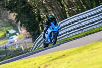 Oulton-Park-20th-March-2020;PJ-Motorsport-Photography-2020;anglesey;brands-hatch;cadwell-park;croft;donington-park;enduro-digital-images;event-digital-images;eventdigitalimages;mallory;no-limits;oulton-park;peter-wileman-photography;racing-digital-images;silverstone;snetterton;trackday-digital-images;trackday-photos;vmcc-banbury-run;welsh-2-day-enduro